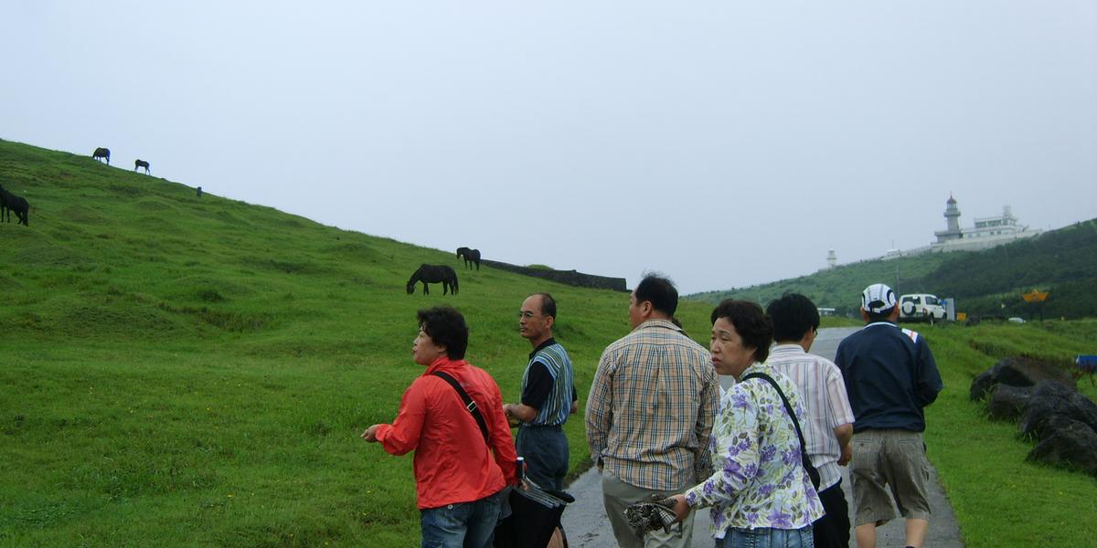 2007년 제주도5