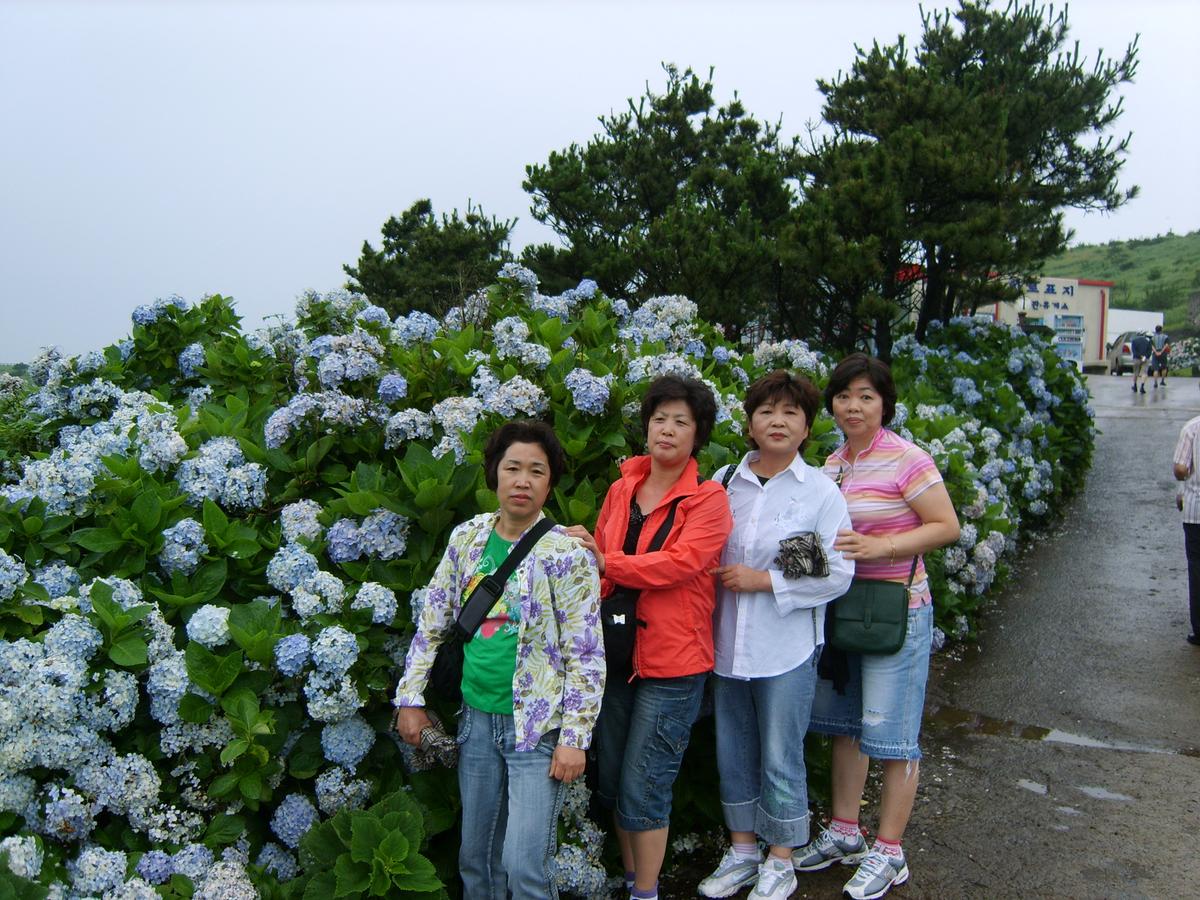 2007년 제주도5