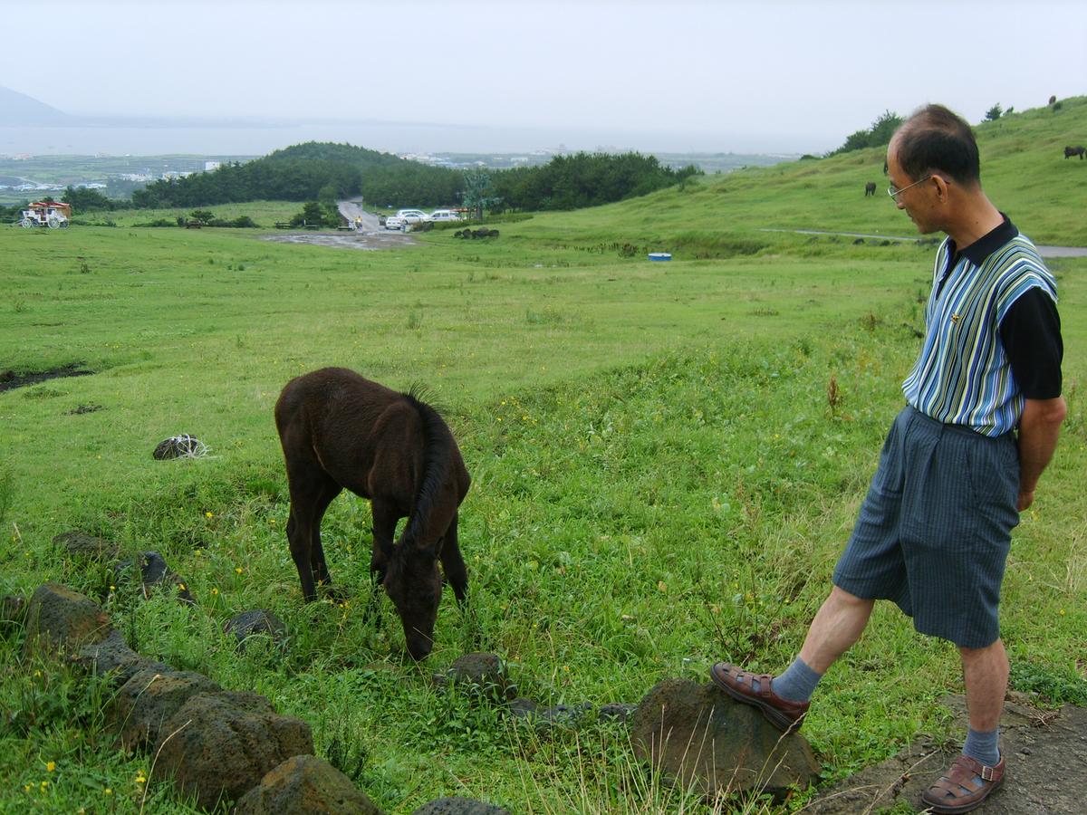 2007년 제주도5