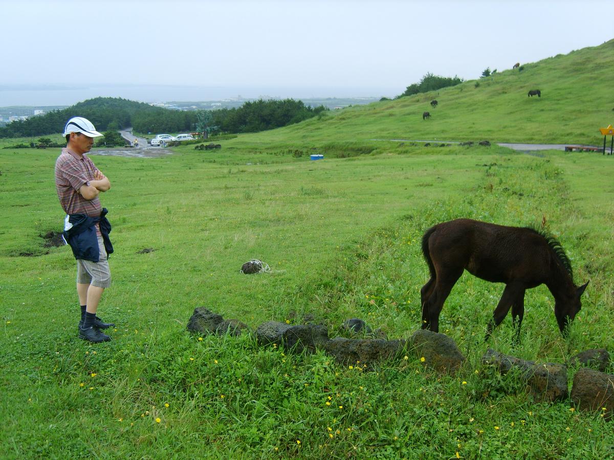2007년 제주도5