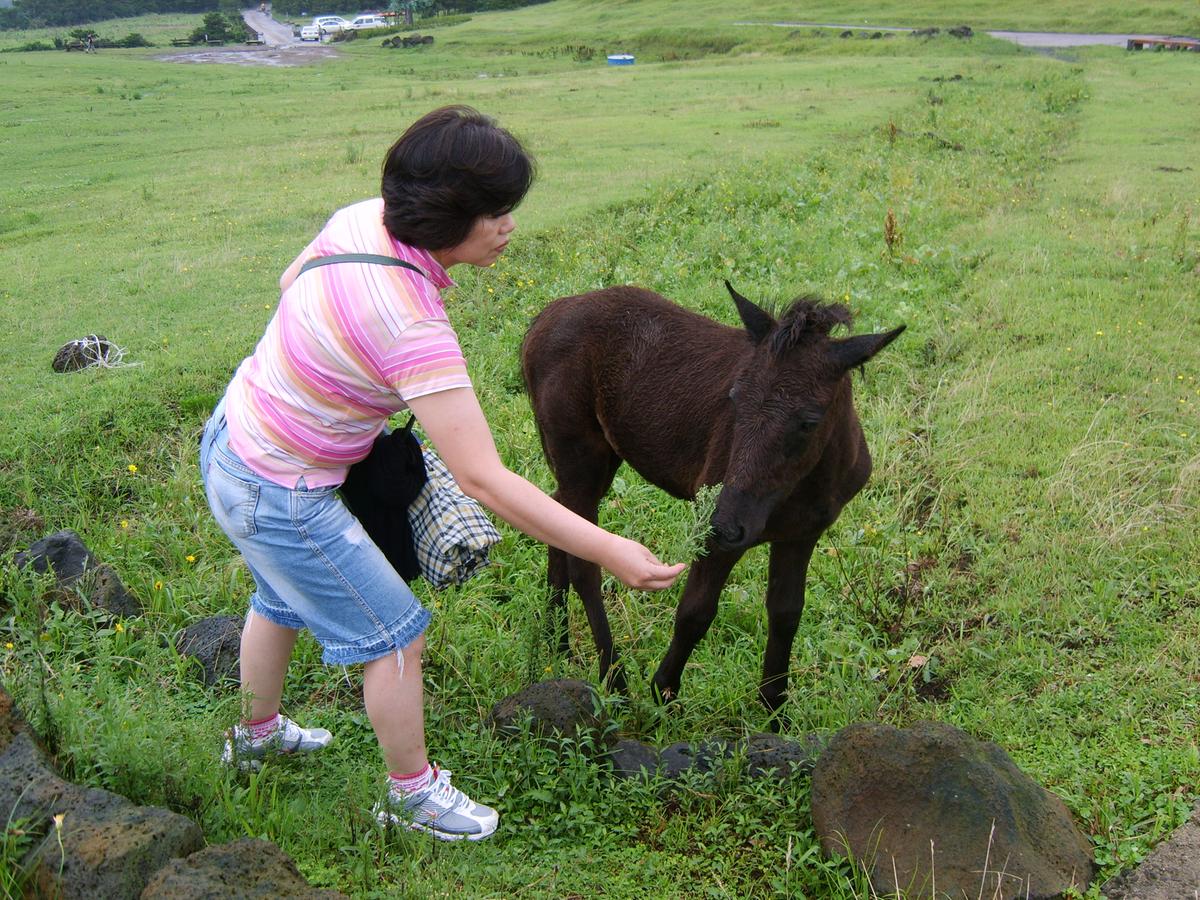 2007년 제주도5
