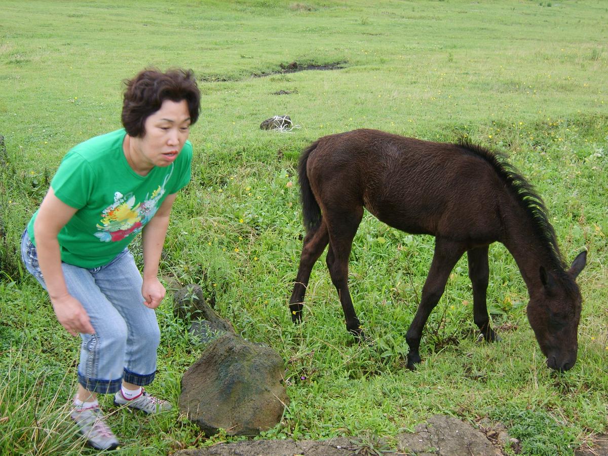 2007년 제주도5