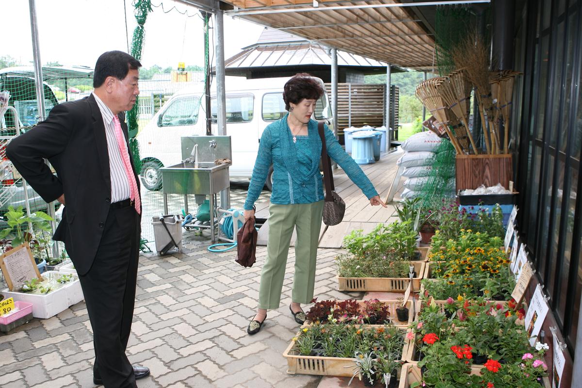 2007미토요시관광1
