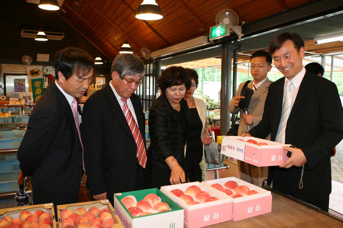 2007미토요시관광1