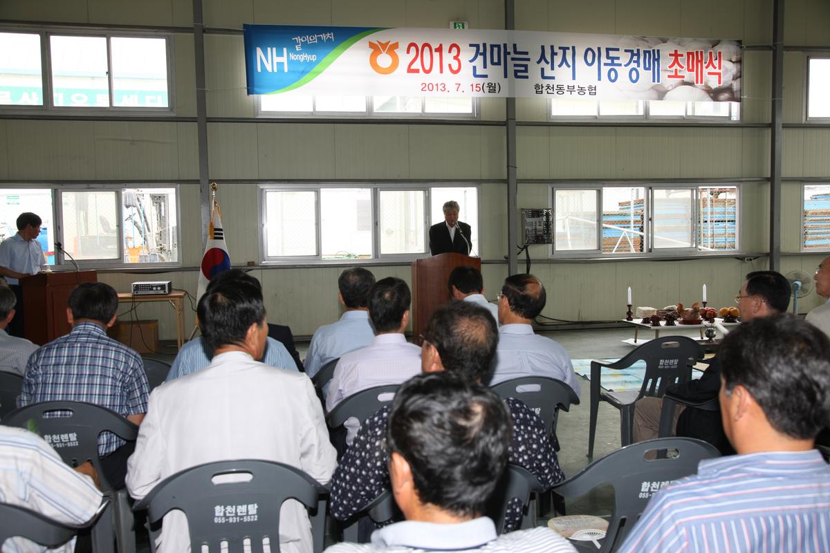 2013 건마늘 산지 이동경매 초매식