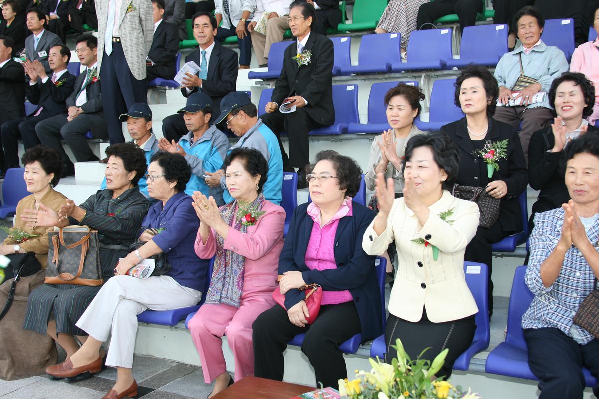 대야문화제