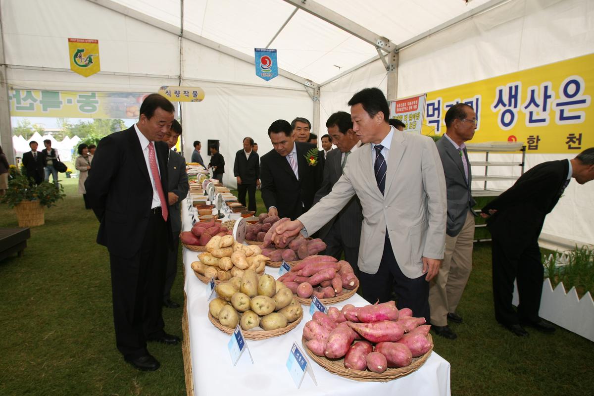 합천향토농산물 엑스포