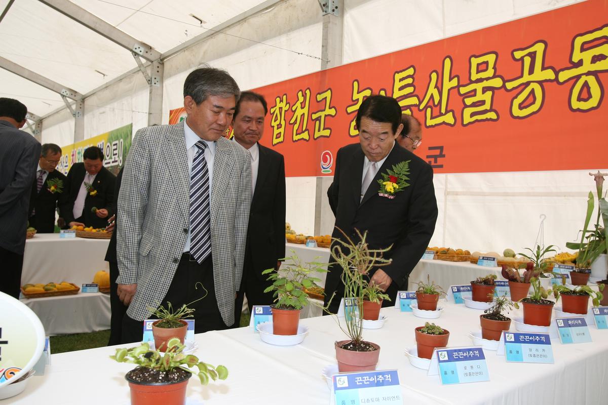 합천향토농산물 엑스포