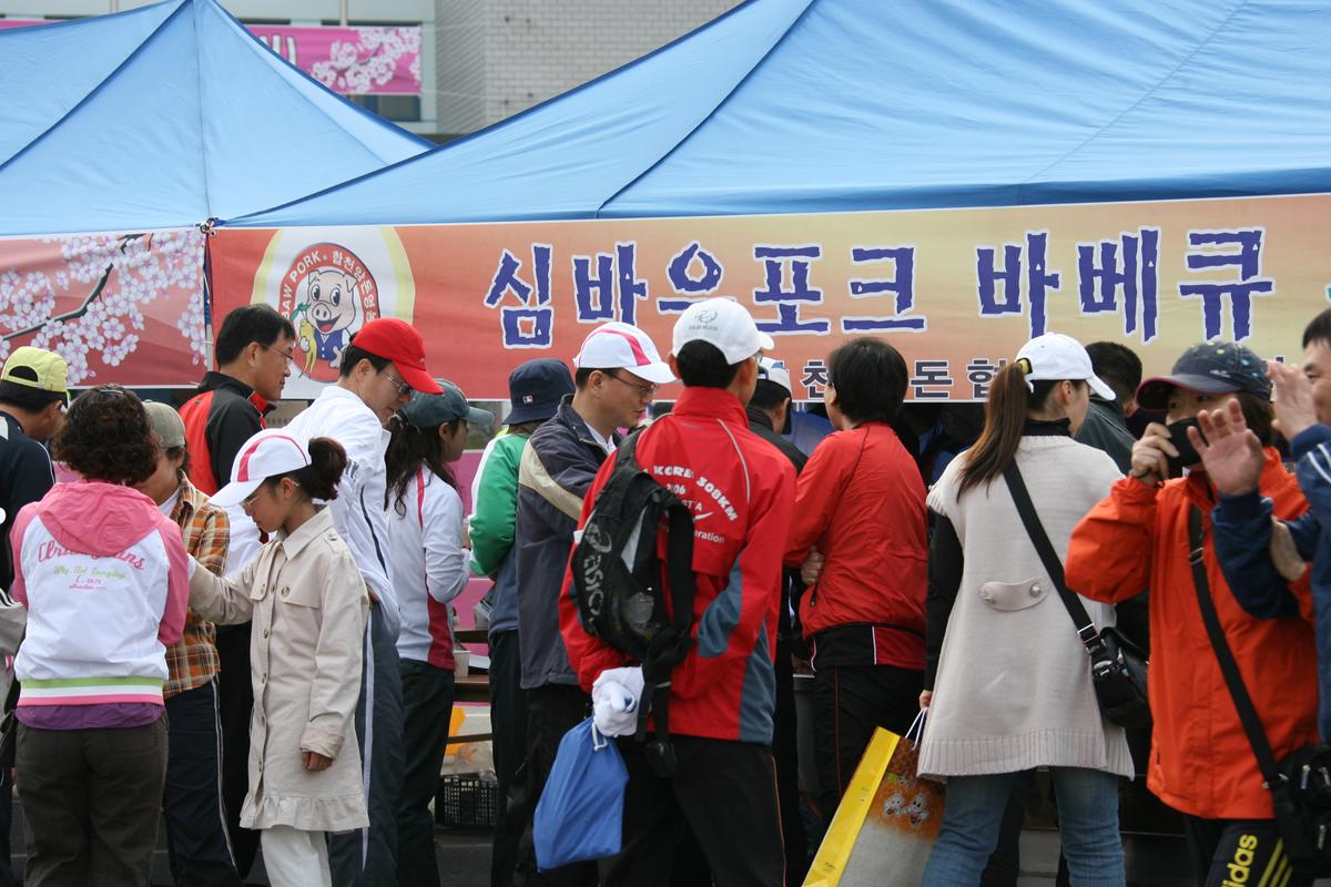 제6회 합천 벚꽃 마라톤대회