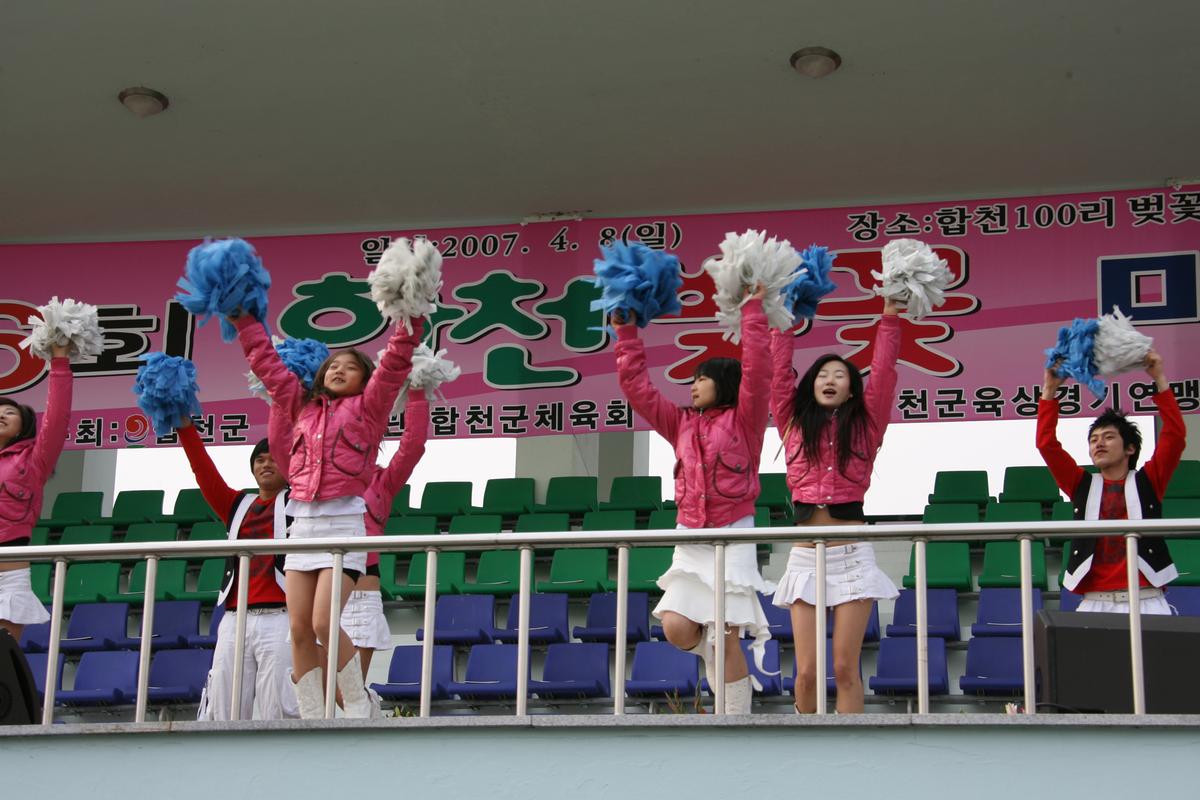 제6회 합천 벚꽃 마라톤대회