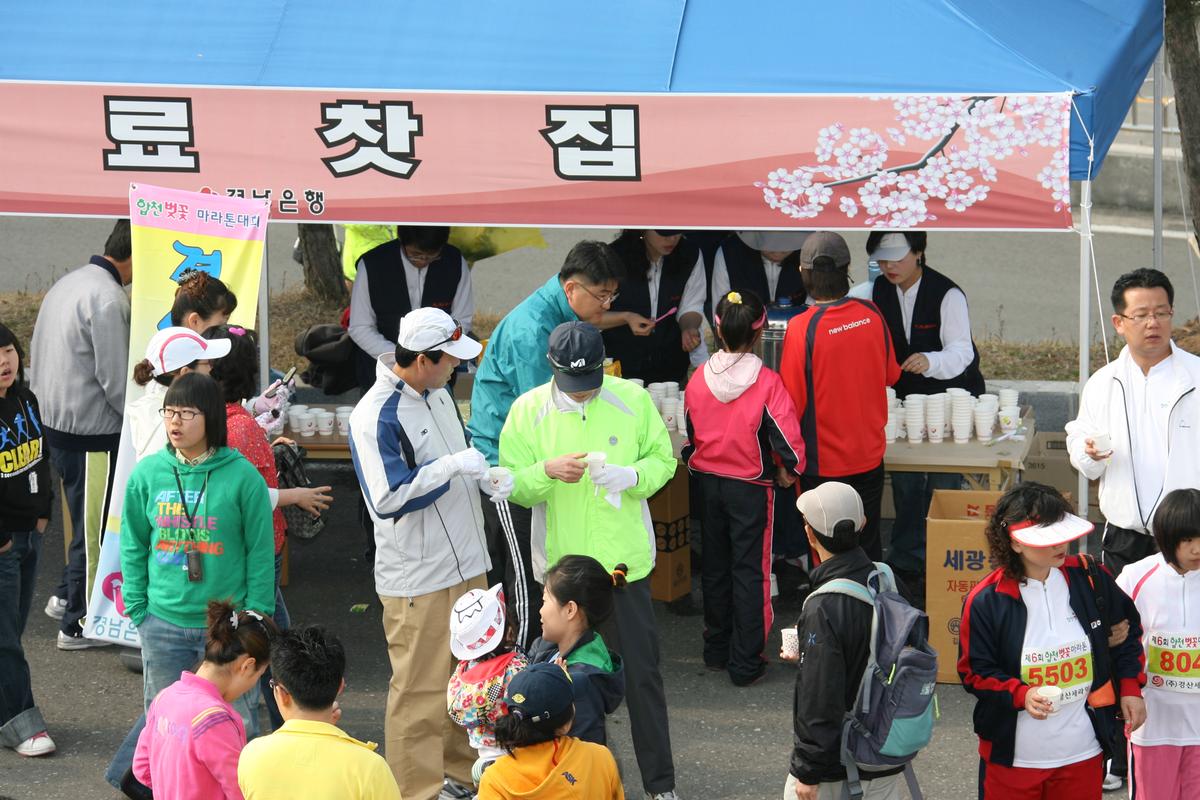 제6회 합천 벚꽃 마라톤대회