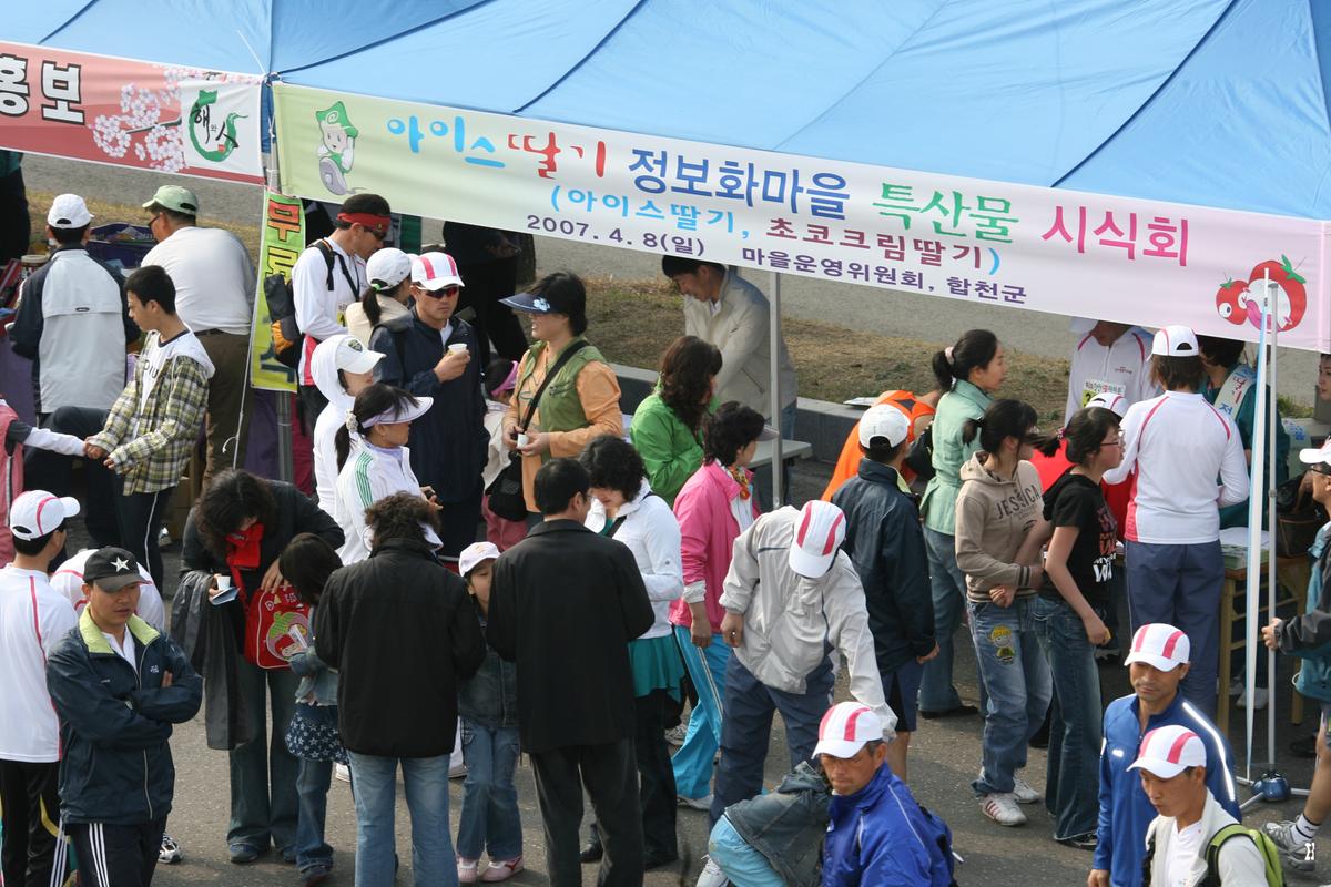 제6회 합천 벚꽃 마라톤대회