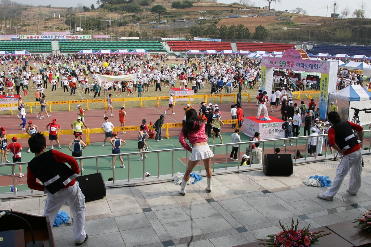 제6회 합천 벚꽃 마라톤대회