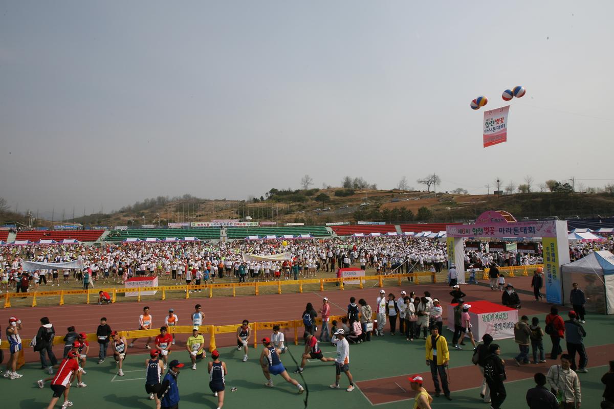 제6회 합천 벚꽃 마라톤대회