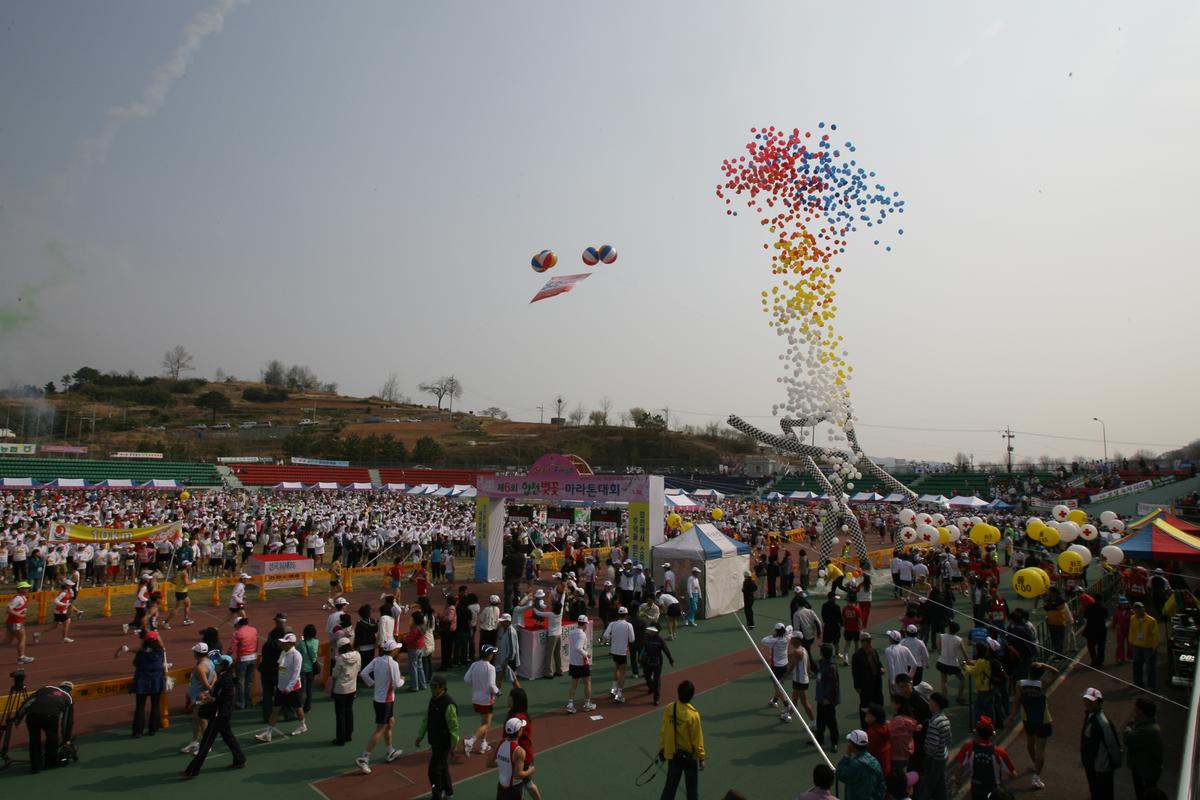 제6회 합천 벚꽃 마라톤대회