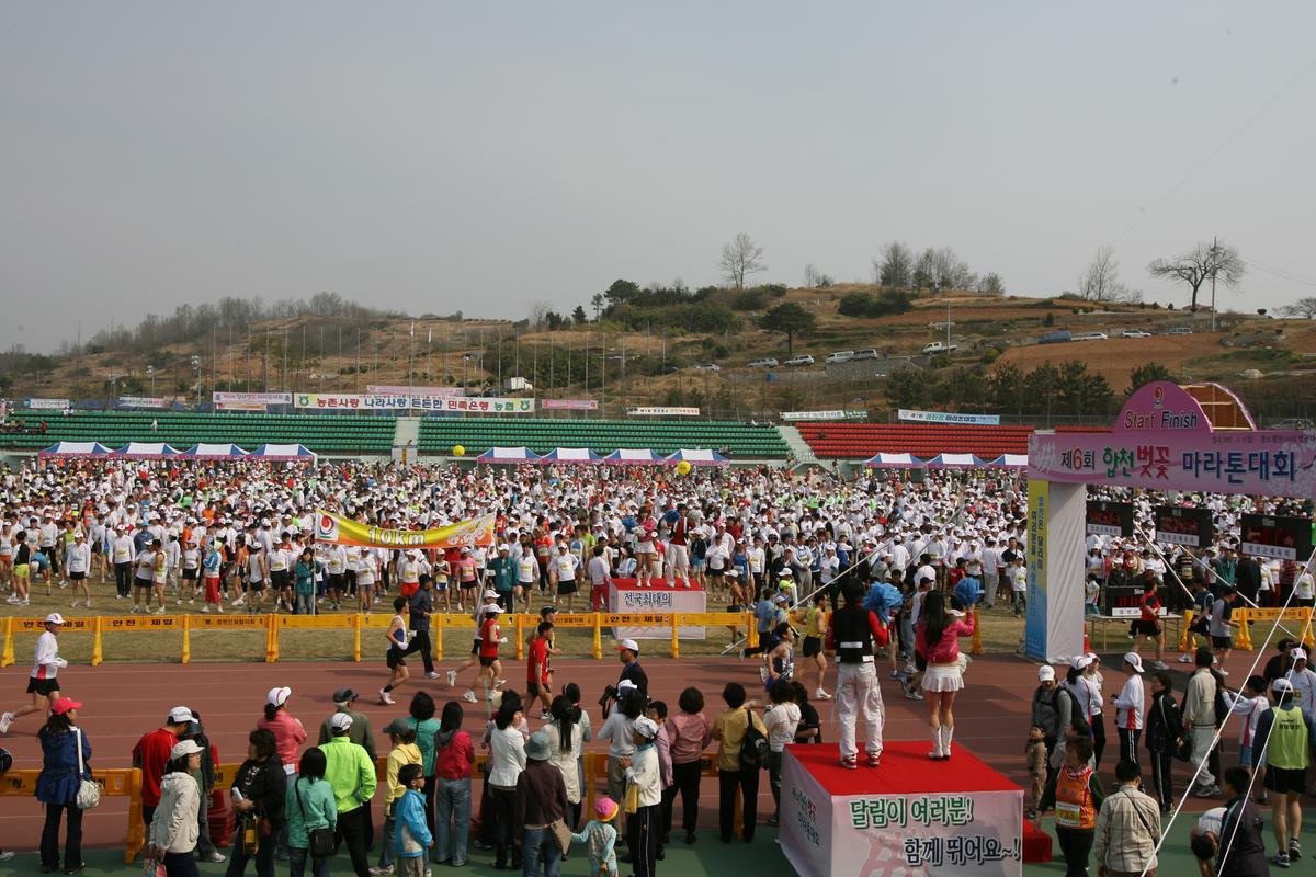 제6회 합천 벚꽃 마라톤대회