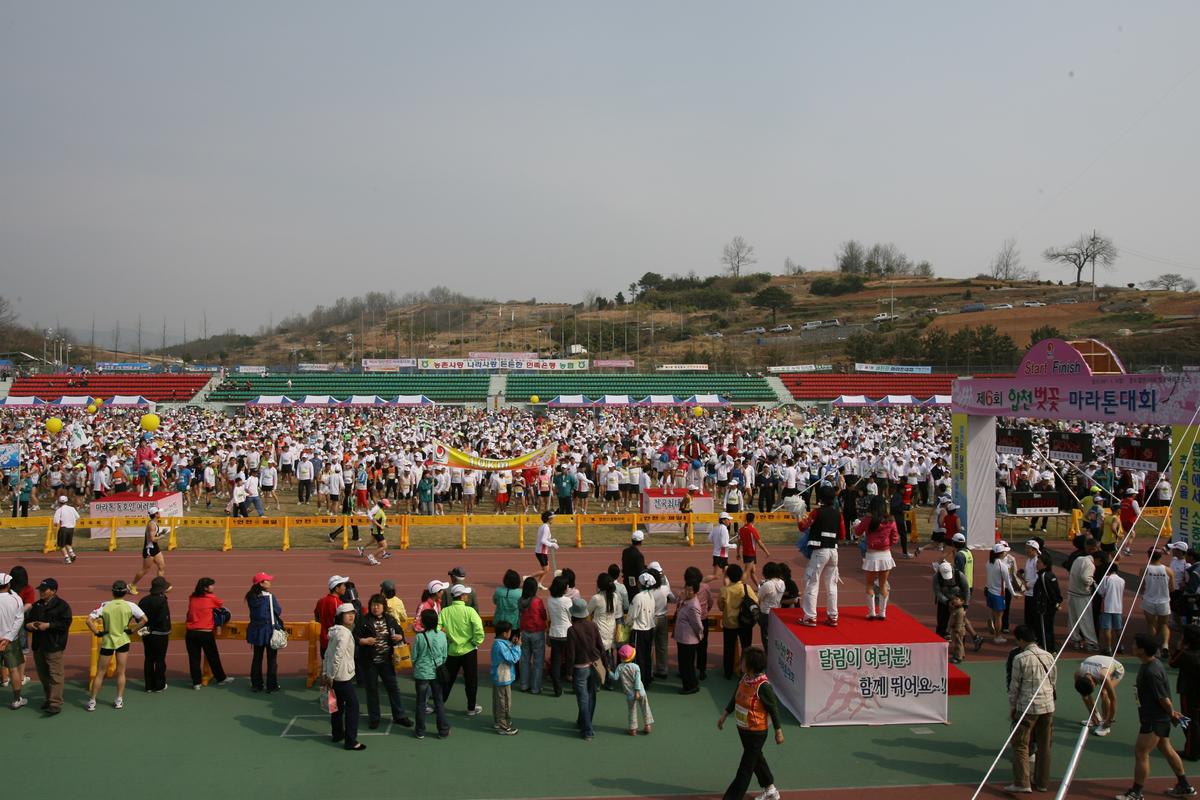 제6회 합천 벚꽃 마라톤대회