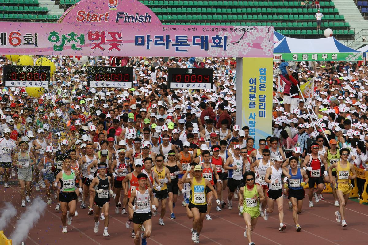 제6회 합천 벚꽃축제 마라톤대회