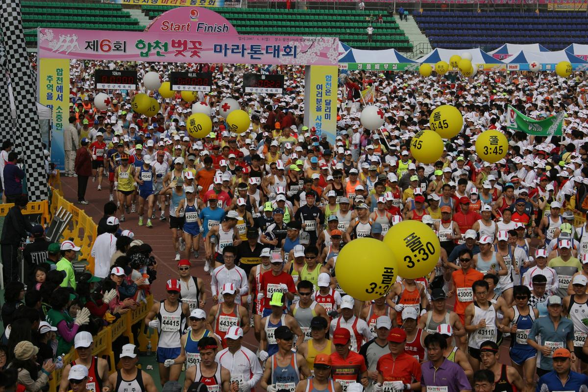 제6회 합천 벚꽃축제 마라톤대회