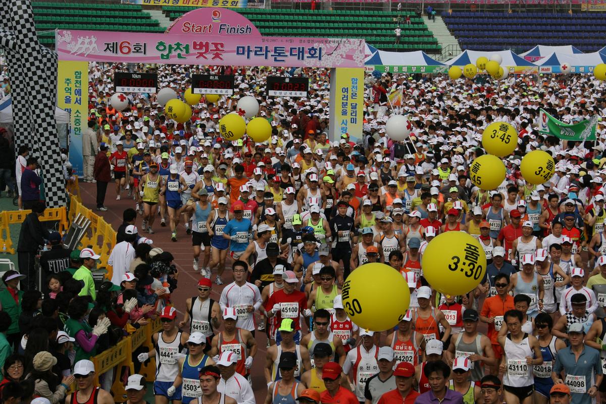 제6회 합천 벚꽃축제 마라톤대회
