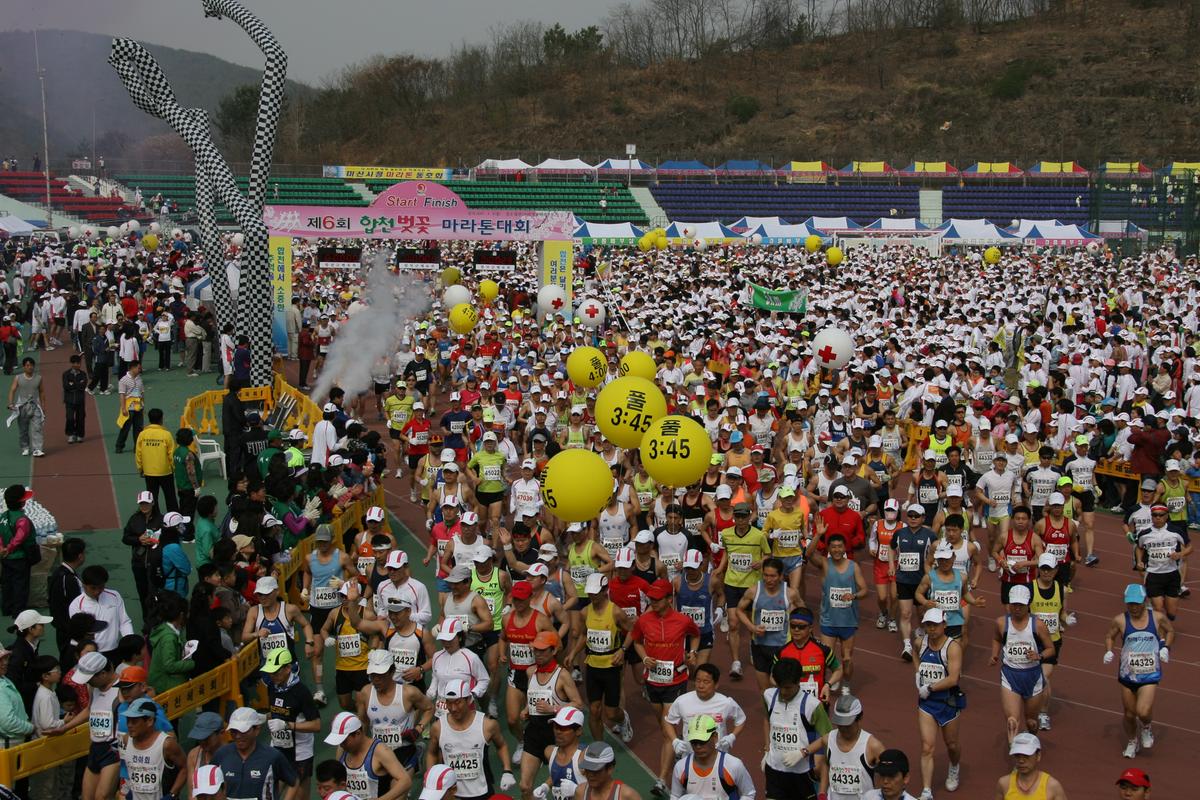 제6회 합천 벚꽃축제 마라톤대회