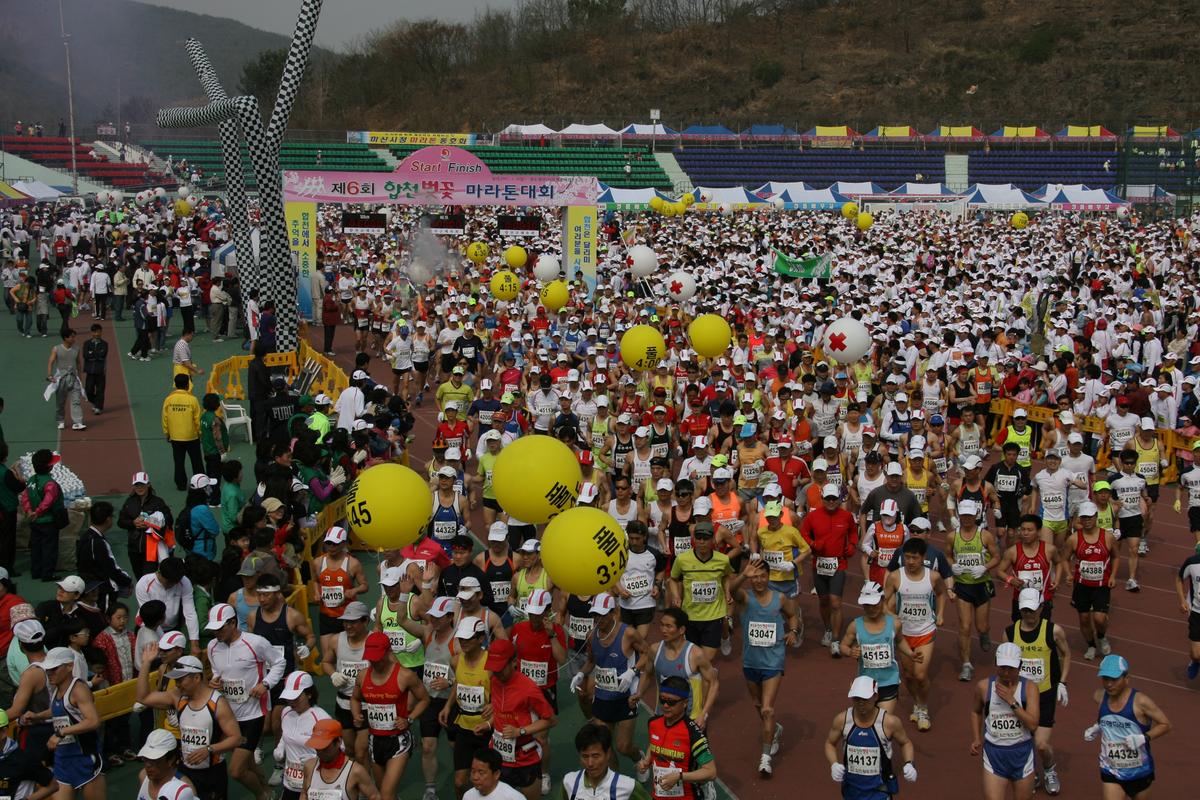 제6회 합천 벚꽃축제 마라톤대회