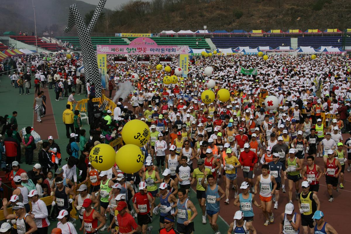 제6회 합천 벚꽃축제 마라톤대회