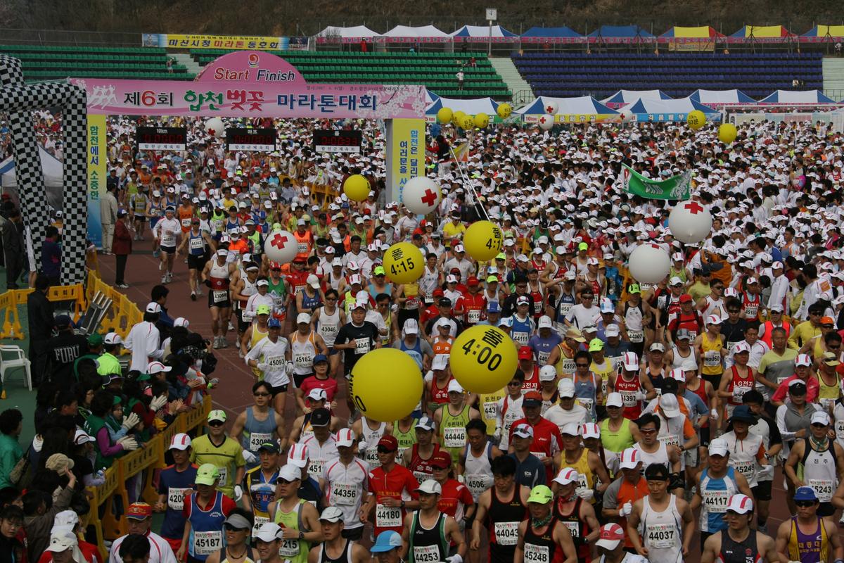 제6회 합천 벚꽃축제 마라톤대회