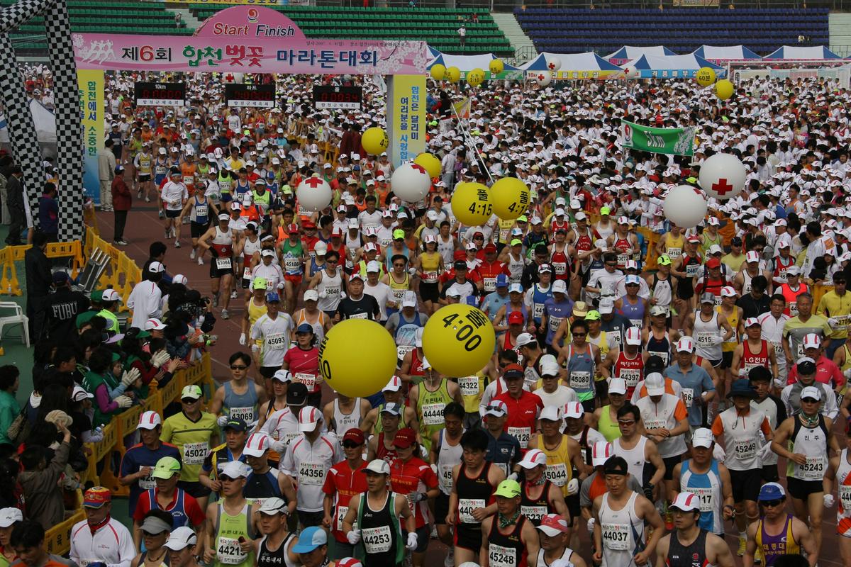 제6회 합천 벚꽃축제 마라톤대회