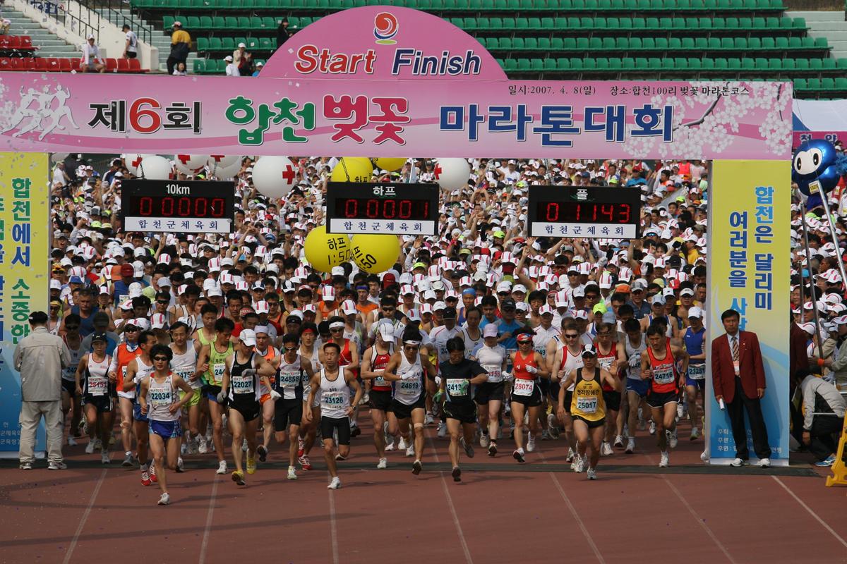 제6회 합천 벚꽃축제 마라톤대회