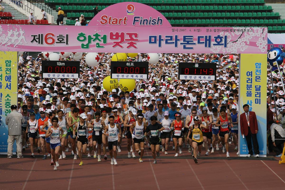 제6회 합천 벚꽃축제 마라톤대회