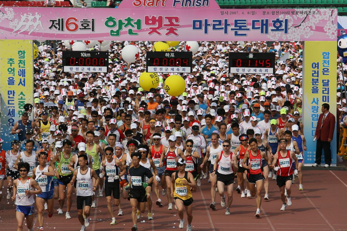제6회 합천 벚꽃축제 마라톤대회