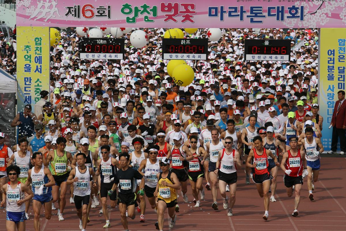 제6회 합천 벚꽃축제 마라톤대회