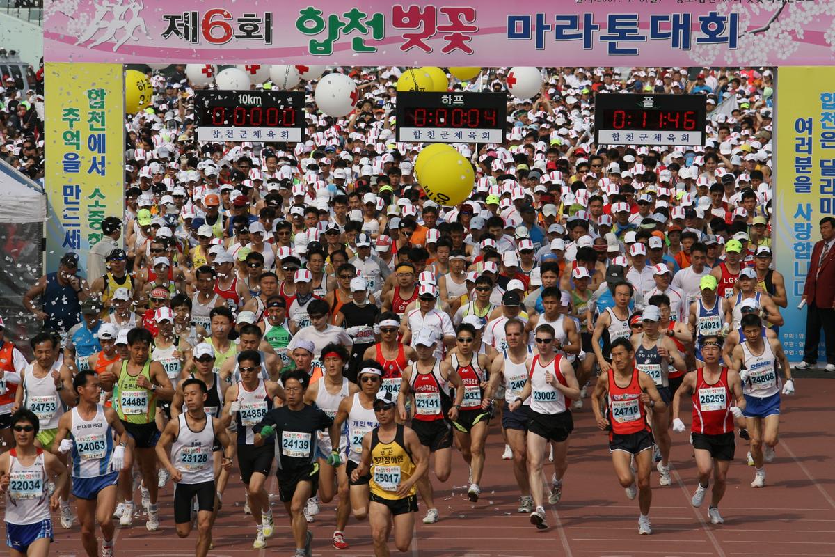 제6회 합천 벚꽃축제 마라톤대회