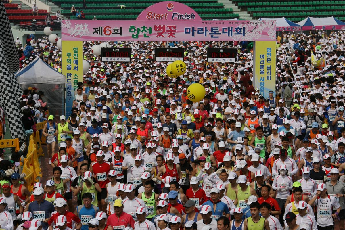 제6회 합천 벚꽃축제 마라톤대회