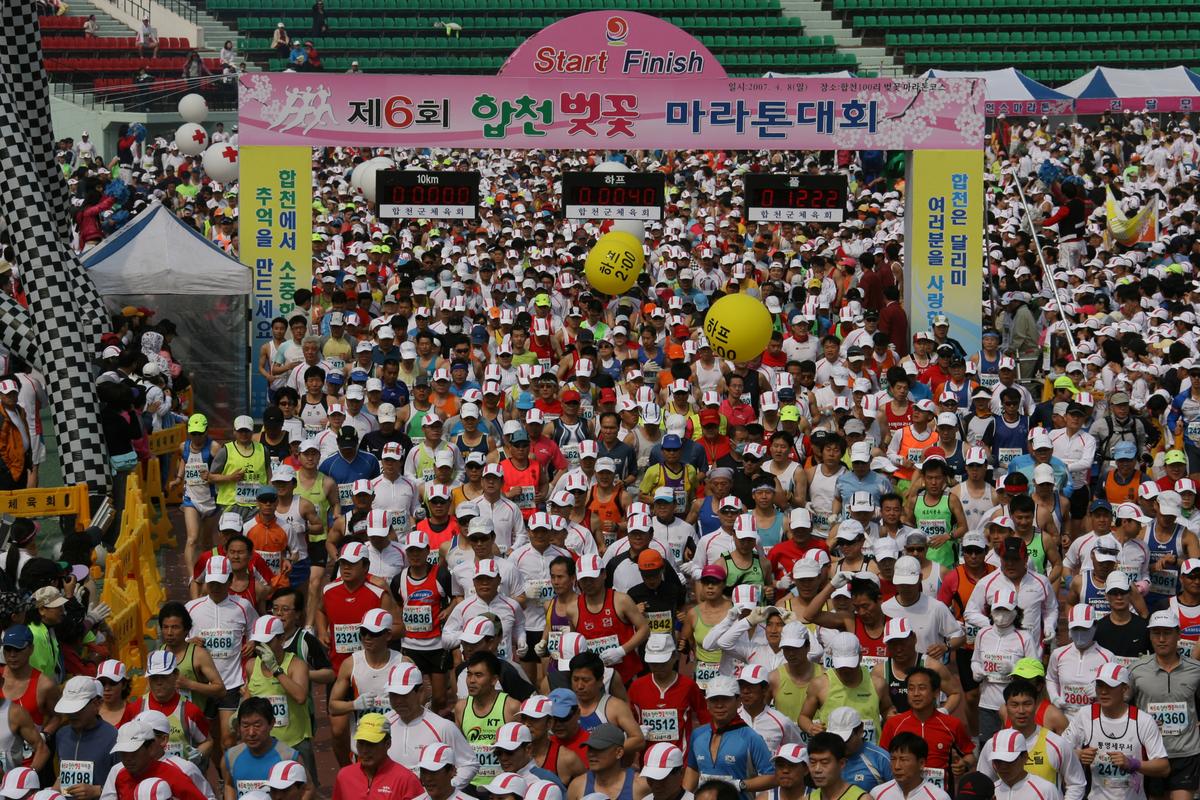 제6회 합천 벚꽃축제 마라톤대회