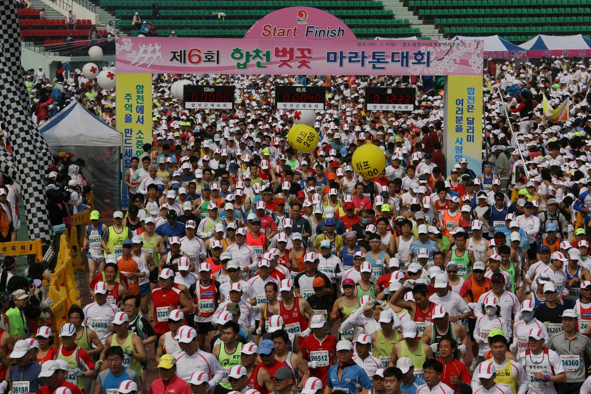 제6회 합천 벚꽃축제 마라톤대회
