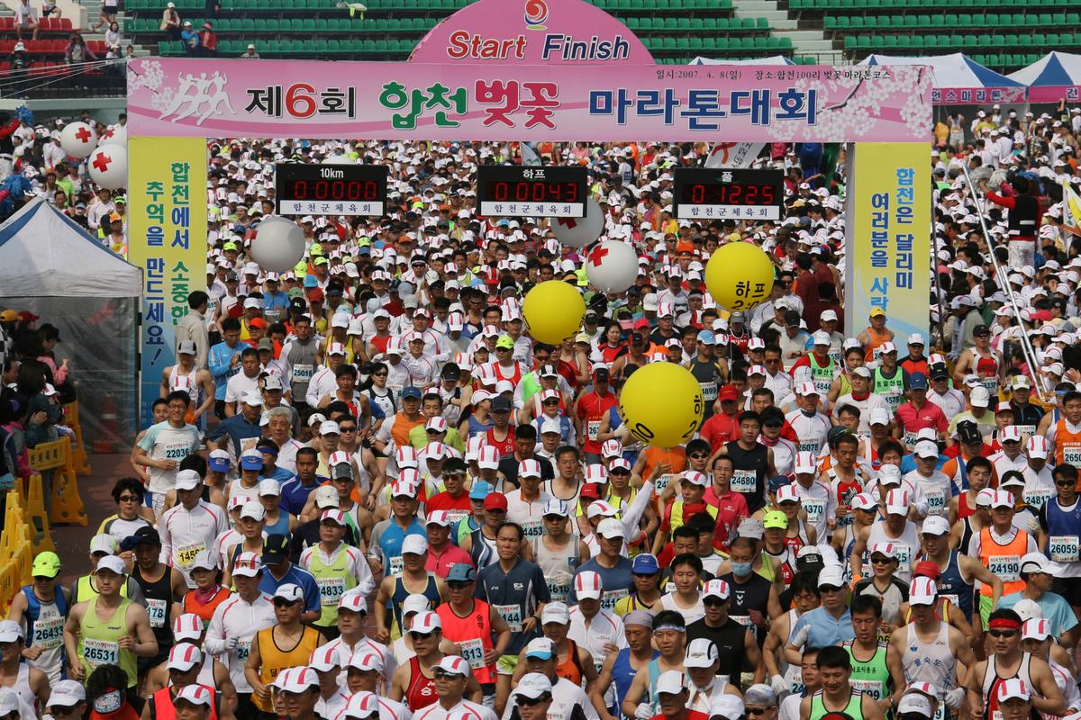 제6회 합천 벚꽃축제 마라톤대회