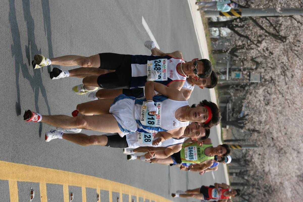 제6회 합천 벚꽃축제 마라톤대회
