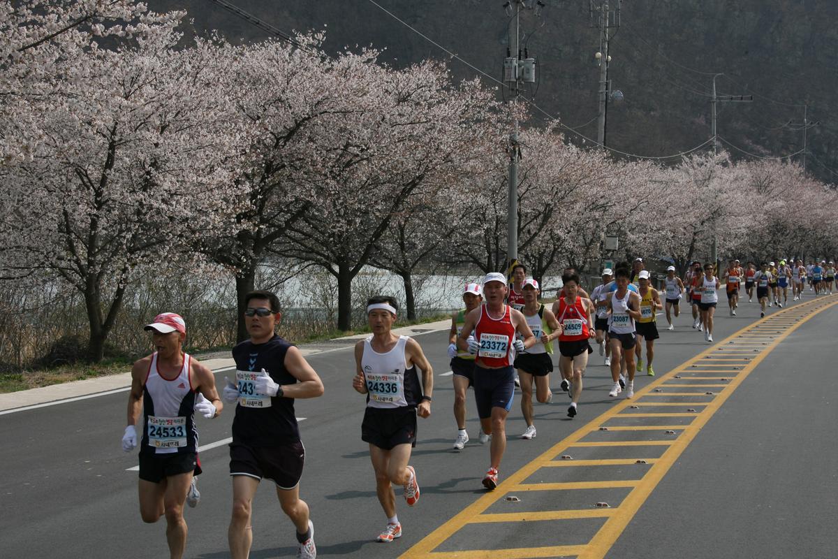 제6회 합천 벚꽃축제 마라톤대회