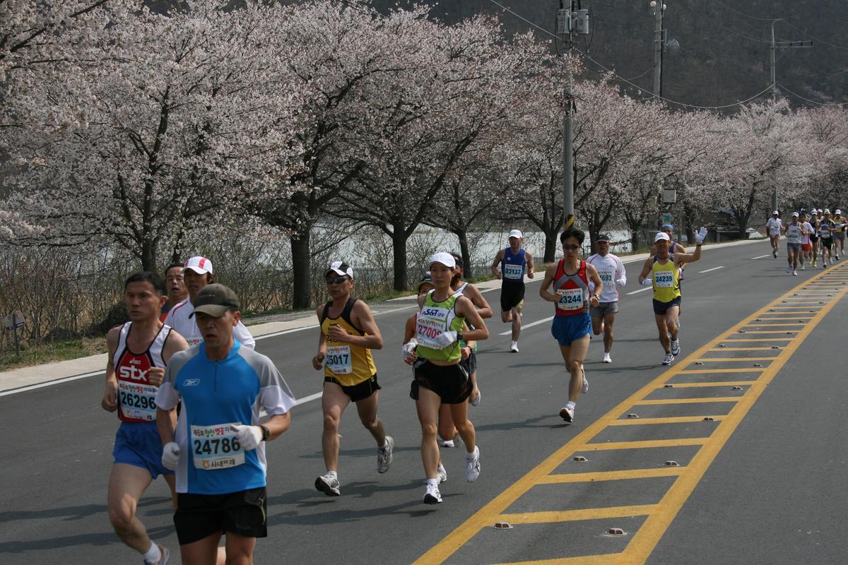 제6회 합천 벚꽃축제 마라톤대회