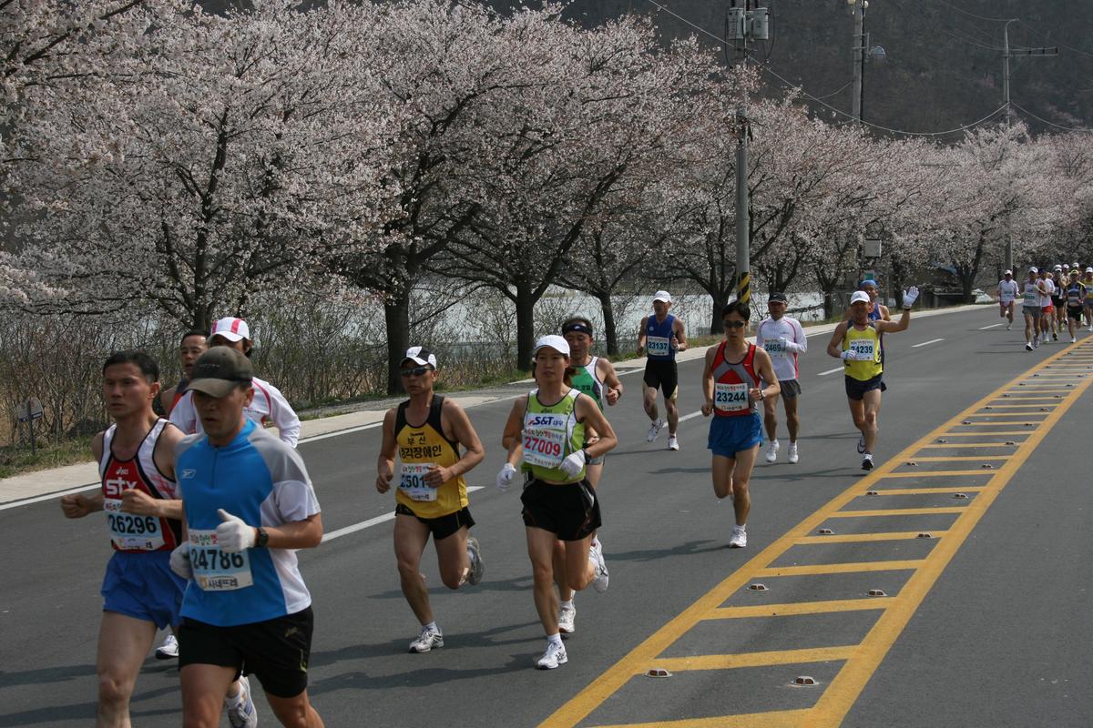 제6회 합천 벚꽃축제 마라톤대회