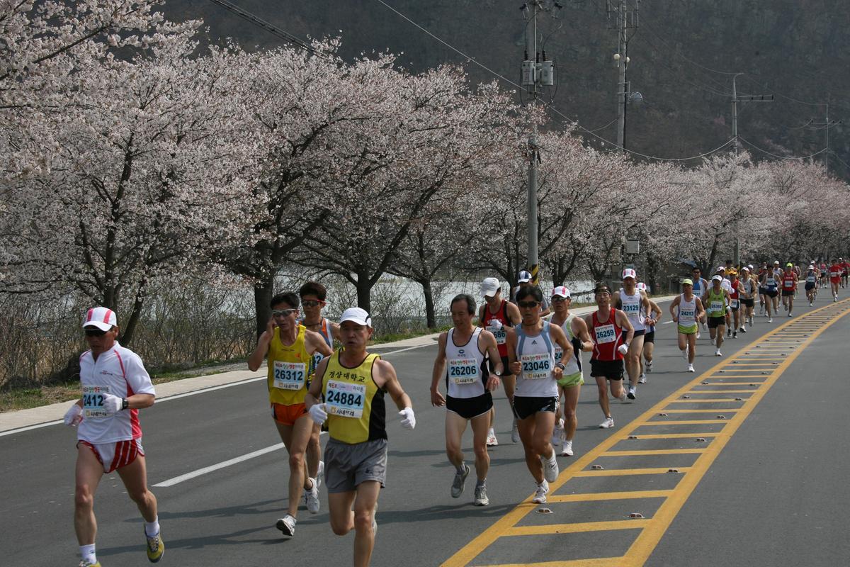제6회 합천 벚꽃축제 마라톤대회