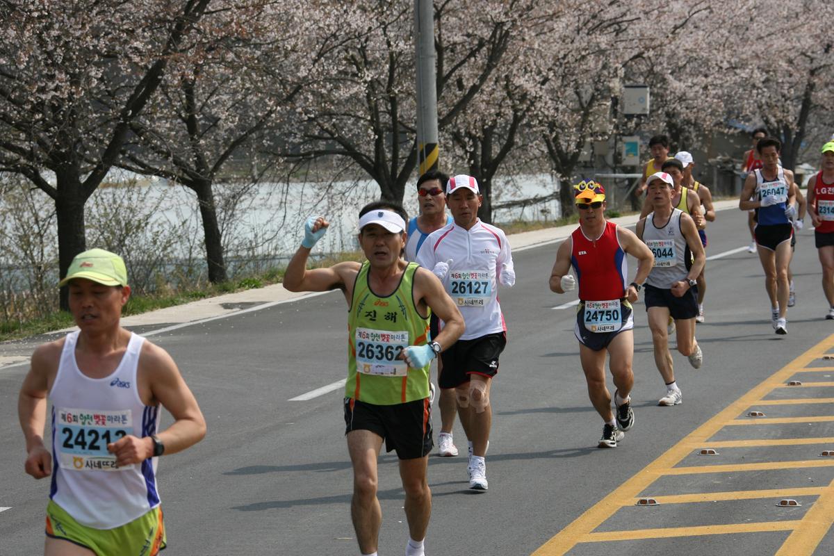 제6회 합천 벚꽃축제 마라톤대회