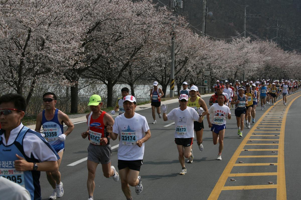 제6회 합천 벚꽃축제 마라톤대회