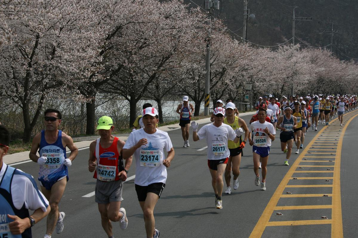 제6회 합천 벚꽃축제 마라톤대회