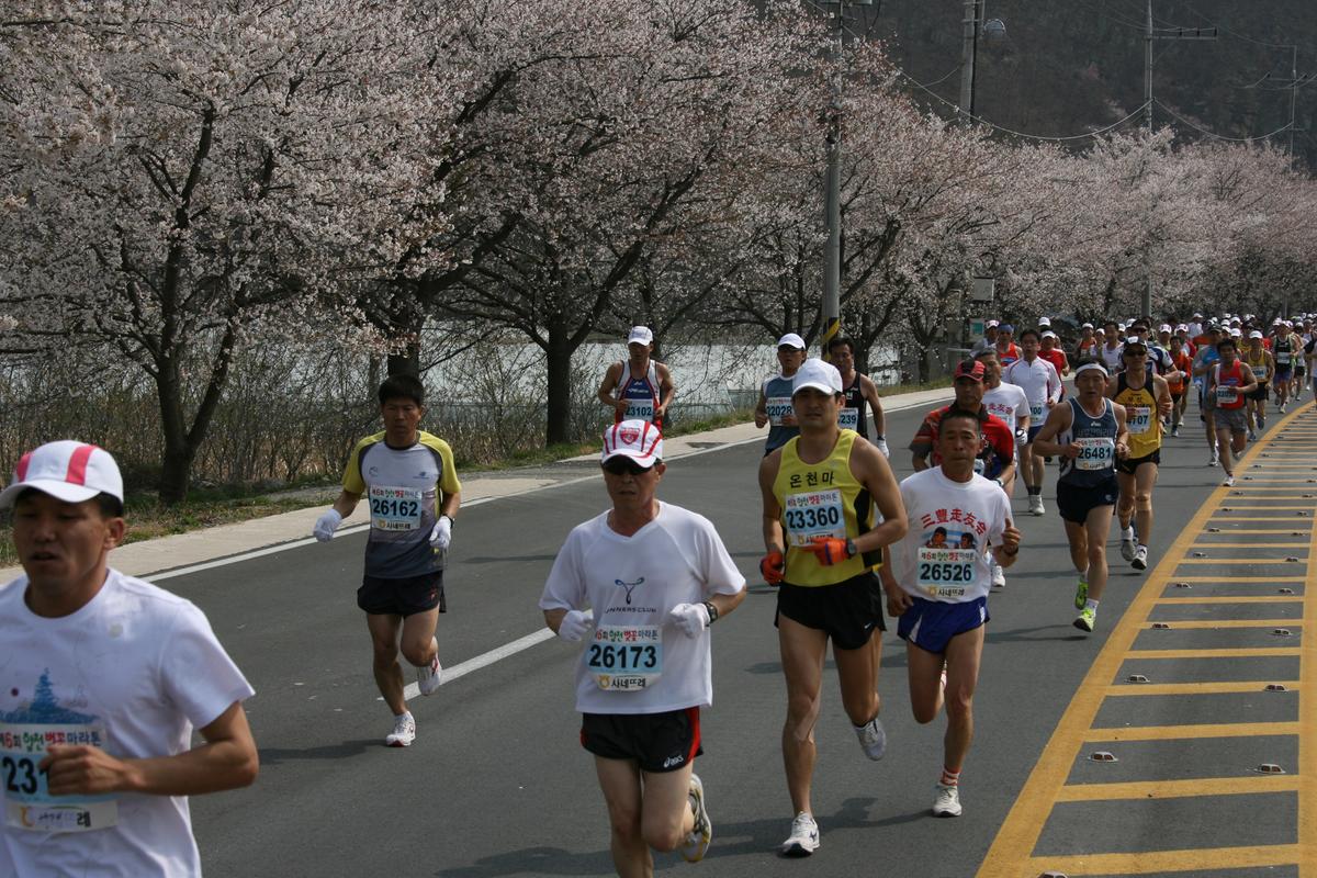 제6회 합천 벚꽃축제 마라톤대회