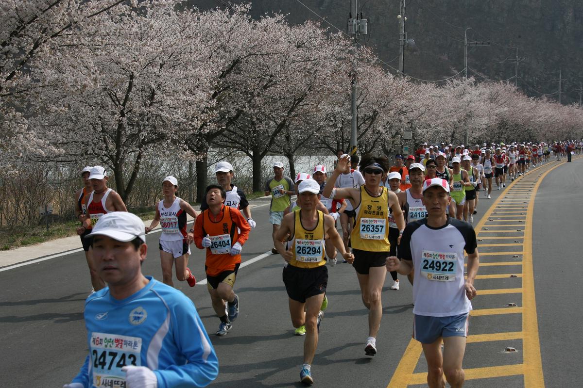 제6회 합천 벚꽃축제 마라톤대회
