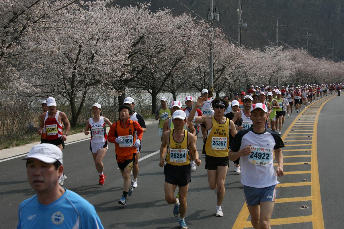 제6회 합천 벚꽃축제 마라톤대회