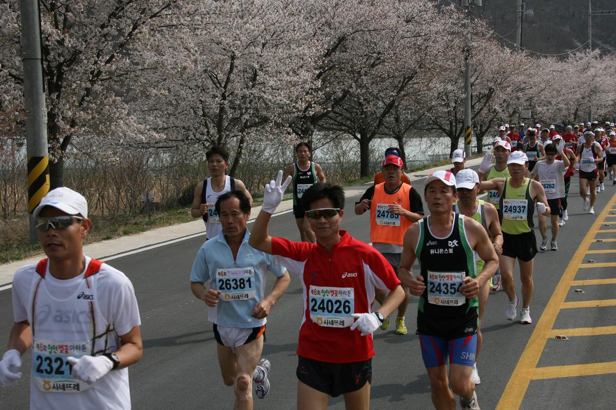 제6회 합천 벚꽃축제 마라톤대회
